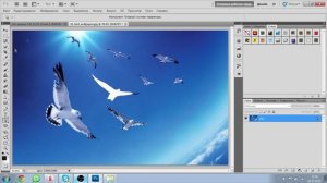 Как вырезать на программе Adobe Photoshop?