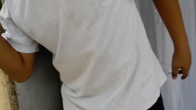 Ванпис смотреть онлайн