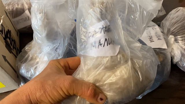 МАГИЯ ПОДАРКА//Что дарить✅друзьям в Германию //Сувениры и гостинцы для Виктора и Марины ?? смотреть онлайн