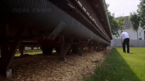 хозяйства норки - Урожай и обработка меха норки в заводе - Меховая промышленность норки