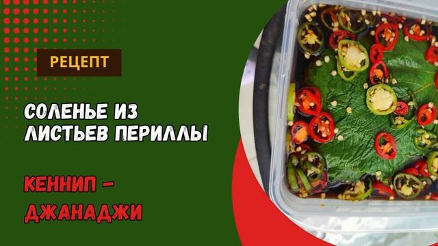 Корейские Закуски Панчхан из Листьев Периллы (Кеннип)- Маринад и Соленье (2 Рецепта) 깻잎 2 가지 레시피