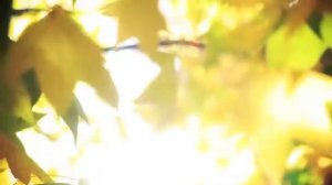 ИЗЖИВШИЕ СЕБЯ ОТНОШЕНИЯ. Расставаться или терпеть? Ада Кондэ