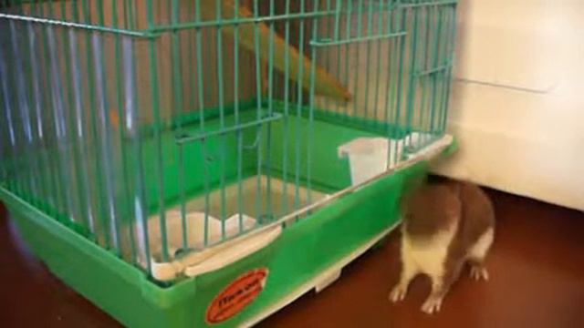 ЛАСКА 3 x264 001 смотреть онлайн