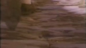 Clan Of Xymox - A Day