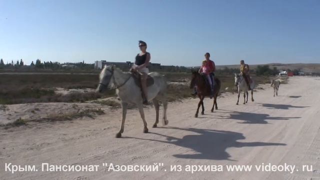 Крым. Пансионат "Азовский". Экскурсия по побережью Азовского моря на лошадях смотреть онлайн
