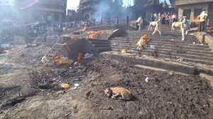ВАРАНАСИ: пять минут в аду стоит очень дорого! / INDIA VARANASI