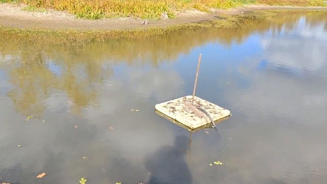 Ручное гидробурение