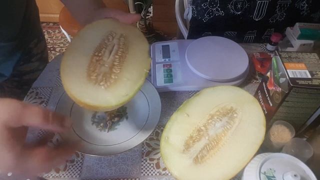 Дегустация дыни выращенной в Подмосковье смотреть онлайн