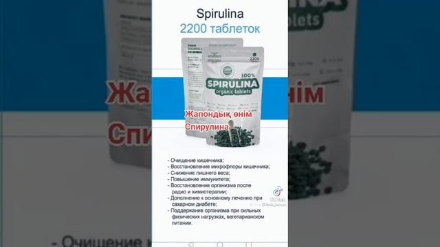 11 ноября 2023 г.
