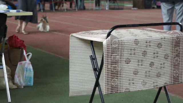 Тайани, 09.09.17.ВОВ, ЧРКФ, биверы в самаре, дэлайт оф соулз смотреть онлайн