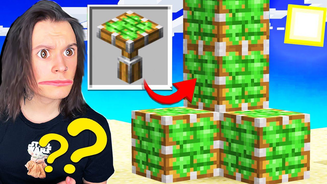 ТОП 15 ВЕЩЕЙ КОТОРЫЕ ТЫ НИКОГДА НЕ ДЕЛАЛ В МАЙНКРАФТ! смотреть онлайн