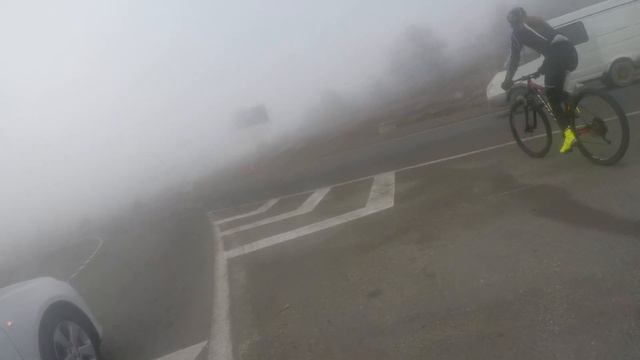 Туманный новогодний заезд