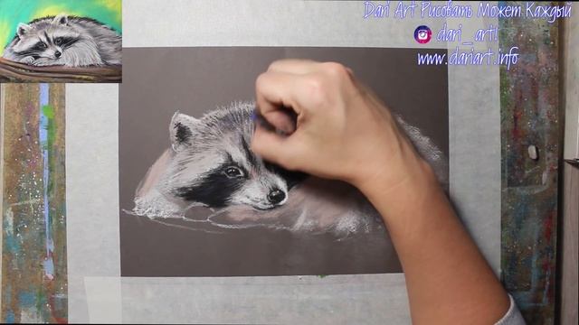Как нарисовать енота сухой пастелью! #Dari_Art смотреть онлайн