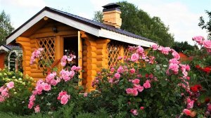 ?Великолепные идеи для создания красивого сада / Great ideas for a beautiful garden / A - Video