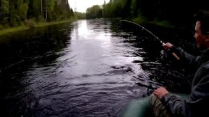 Рыбалка на реке Важинка. Долго боремся с огромной щукой. И несколько щук поменьше.