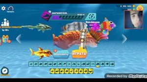 показал всех акул которые я купил за 2 месяца и 6 редких акул эволюция