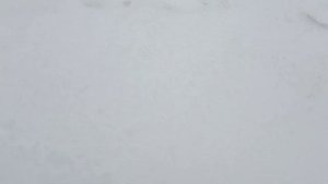 ЮМЗ эо 2621в . запуск после долгого простоя .