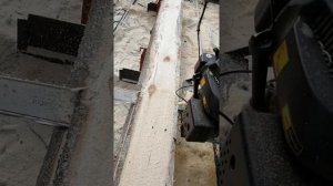 Шинная пилорама в работе2