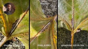 Google Pixel 8 Pro vs iPhone 15 Pro Max vs Samsung Galaxy S23 Ultra: Camera Comparison Test