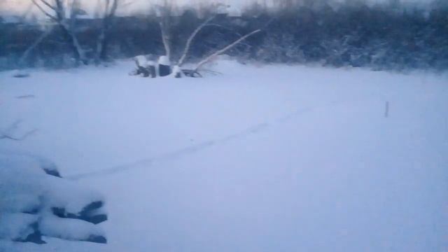 Осталось 5 поросят. смотреть онлайн