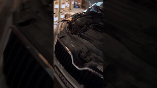 Установка ПТФ Шкода Октавия А7 смотреть онлайн