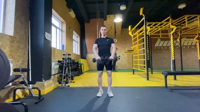Махи гантелей перед собой