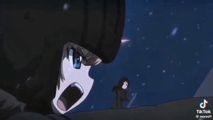 топовый фан из тик тока