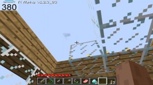 NULL nell'alpha 1.2.3_03? Minecraft Live herobrine