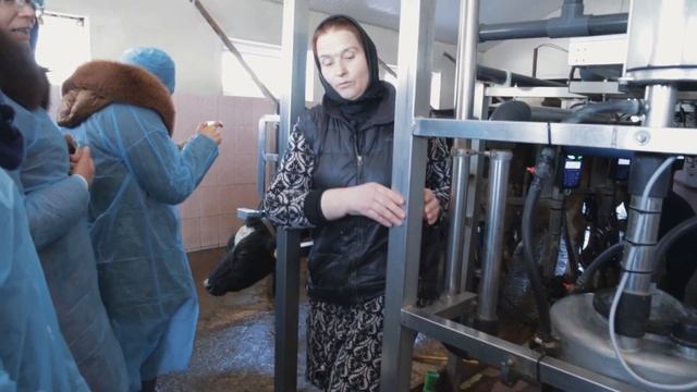 Ferma de vaci a Lidiei Gnatiuc смотреть онлайн