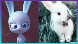 Miraculous kwamis in real life | Квами в реальной жизни ?