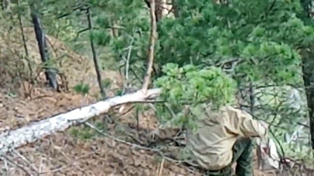 Видна Монголия. Поездка к горе Хугтэй-хан. Сагаан-Шулуута нютаг