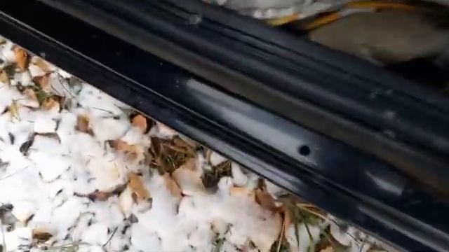 Показываю свои автомобили