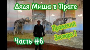 Прага#6 "Зоопарк" | Prague#6 "Zoo"