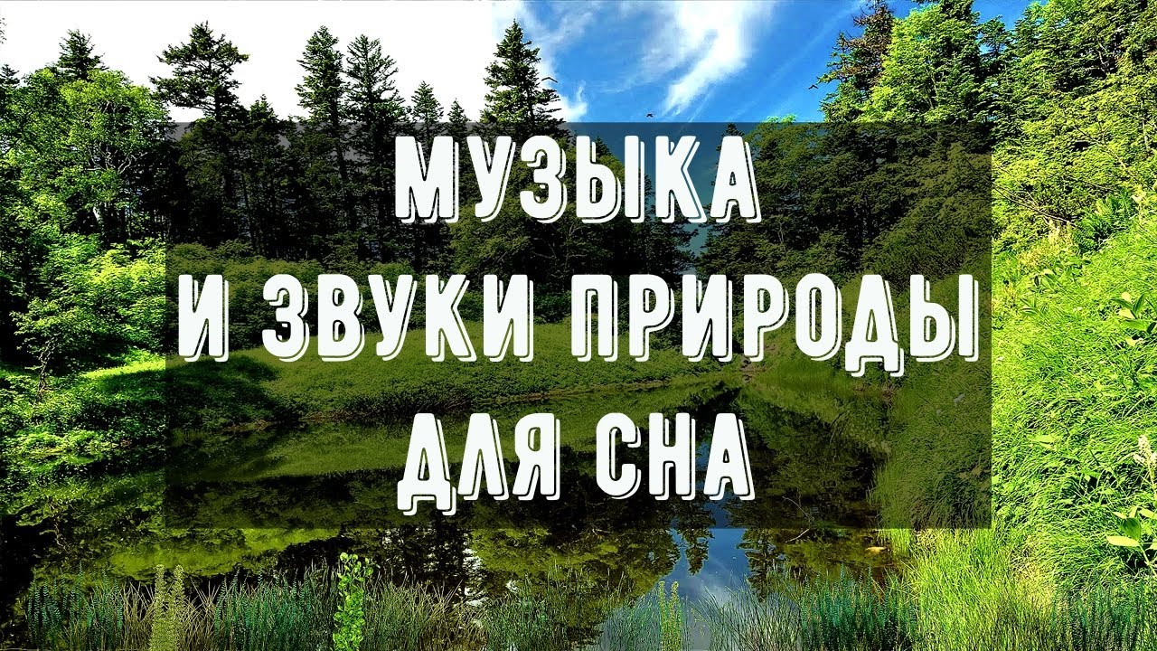 Успокаивающие звуки природы для сна. Мелодия для сна пение птиц. Музыка для сна успокаивающая.