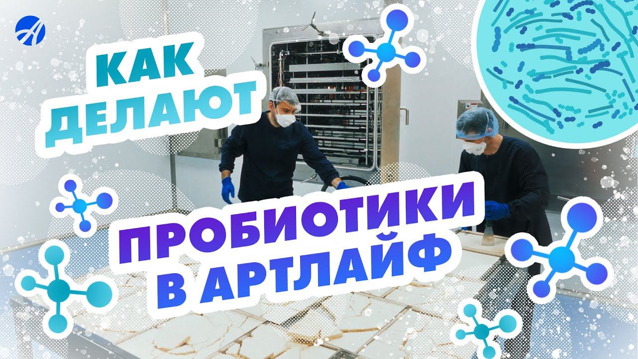 Изготовление пробиотиков в лаборатории Артлайф