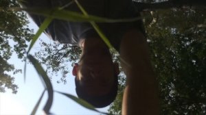 Чайный Гроб