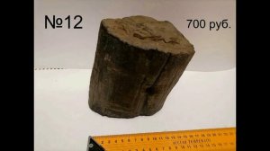 окаменелое дерево цена