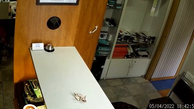 Неадекватный клиент. Новый аттракцион 2022 смотреть онлайн