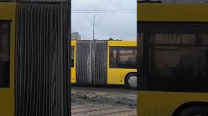 МАЗ-215 #4601 №101 #kyiv #ukraine #київ #україна #shortvideo #киев #bus #автобус #kiev #shorts #kie