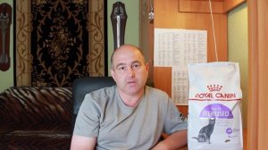 Как экономно, недорого купить корм для кошек, собак и домашних животных