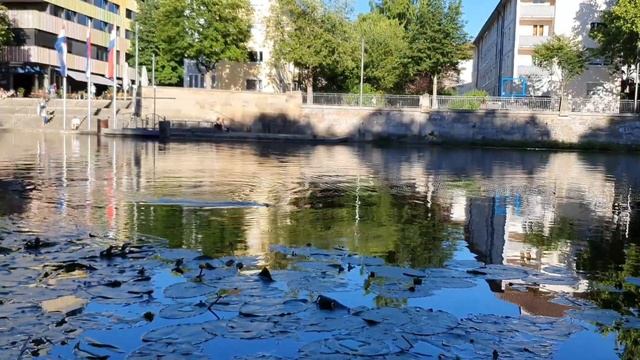 Рыбалка с берега на поплавок река Некр Германния смотреть онлайн