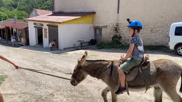 Ослики, ослики и не только. Видео зарисовка о ферме "Чудо ослик" в Крыму