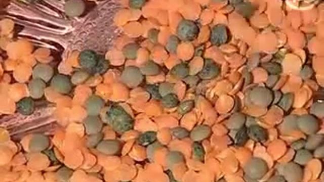 Как правильно выбрать чечевицу? смотреть онлайн