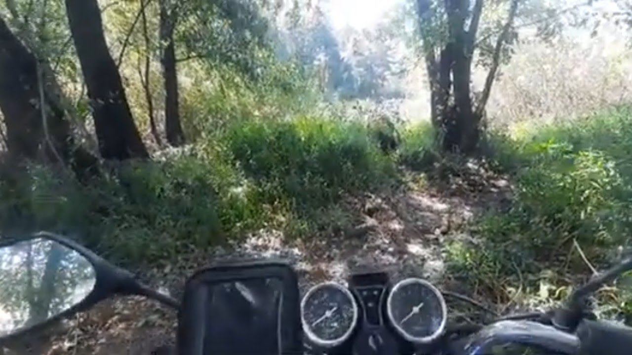 ЗА ЩУКОЙ В 30-ТИ ГРАДУСНУЮ ЖАРУ!!! смотреть онлайн