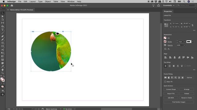 How to Insert an Image into a Circle in InDesign смотреть онлайн