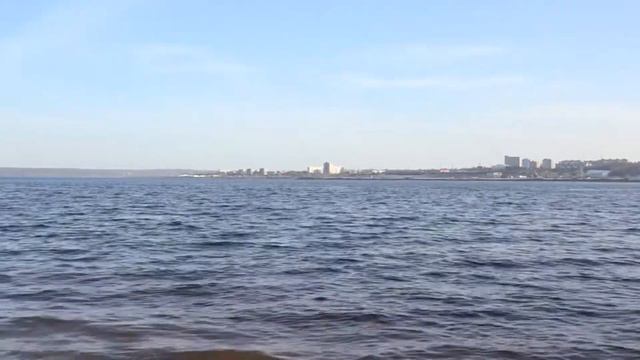 Верба распустилась За Волгой Новочебоксарск Ранняя весна 2020 релакс