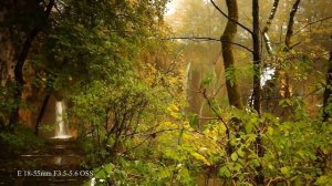 SONY NEX-7 Video Sample Test - Plitvice Lakes Croatia