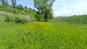 ВОЛЧАНСК-ТИХОЕ-ВОЛЧАНСКИЕ ХУТОРА/ МЕЛОВЫЕ ГОРЫ/РЕКА ВОЛЧЬЯ/ИСТОЧНИК ПАНТЕЛЕЙМОНА/ХАРЬКОВСКАЯ ОБЛАСТ