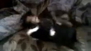 Морскую свинку ест кот.mp4