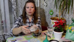 Посев дельфиниума - самый простой и эффективный способ